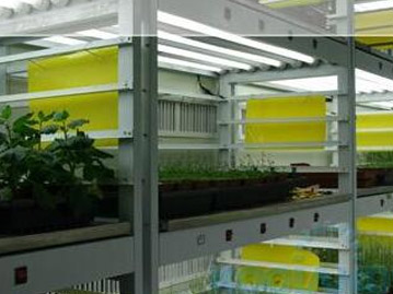 人工氣候室設(shè)計的主要方向 人工氣候室設(shè)計的主要方向